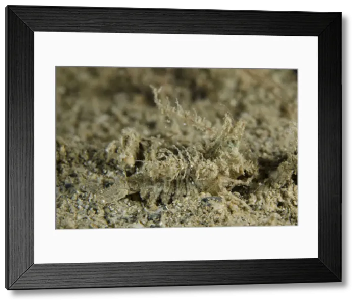 Framed Print : Picture No. 12479167
