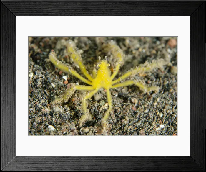 Framed Print : Picture No. 12479199 Framed Print : Picture No. 12479199