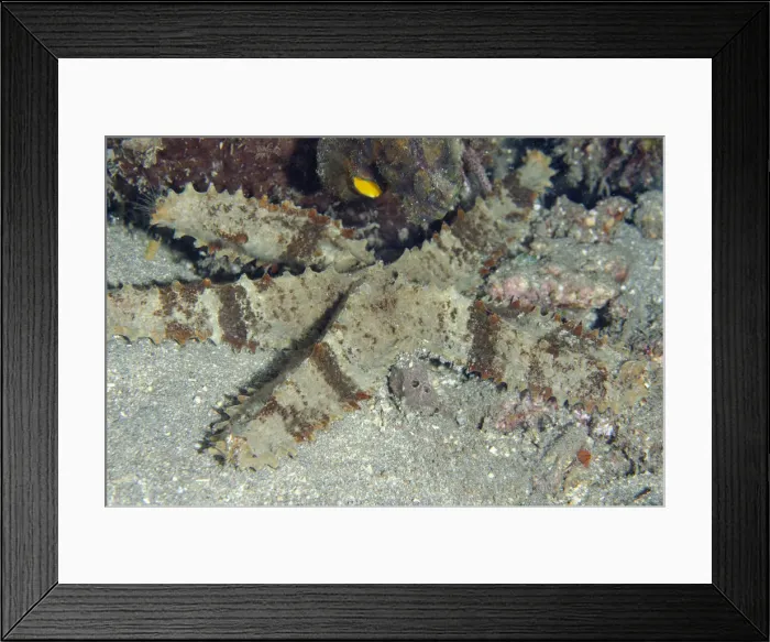 Framed Print : Picture No. 12479203 Framed Print : Picture No. 12479203