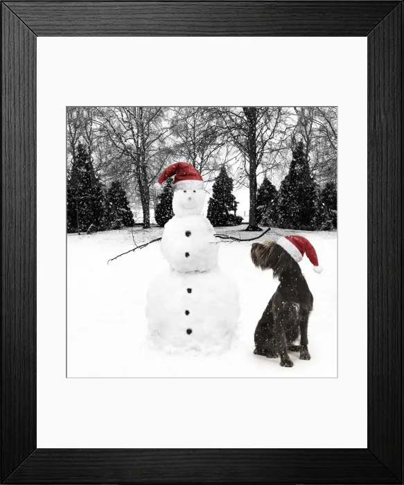 Framed Print : Picture No. 12479964 Framed Print : Picture No. 12479964