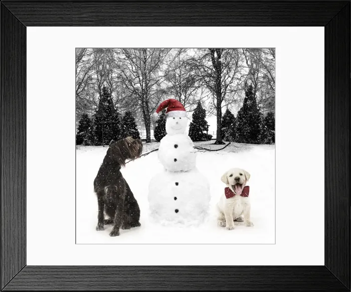 Framed Print : Picture No. 12479965 Framed Print : Picture No. 12479965