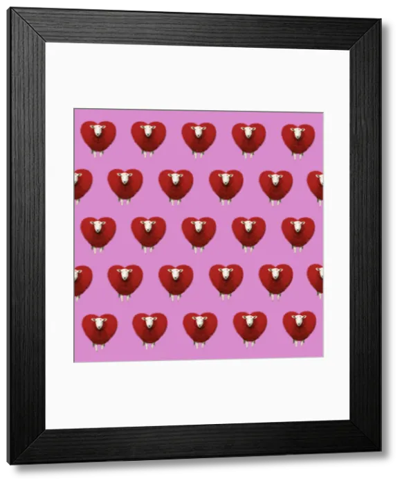 Framed Print : Picture No. 12480131 Framed Print : Picture No. 12480131