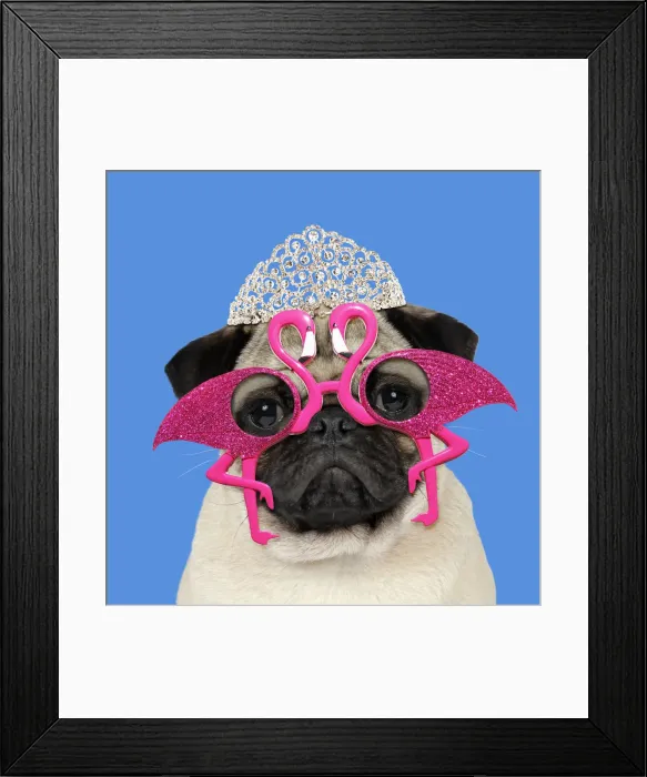 Framed Print : Picture No. 12479232 Framed Print : Picture No. 12479232