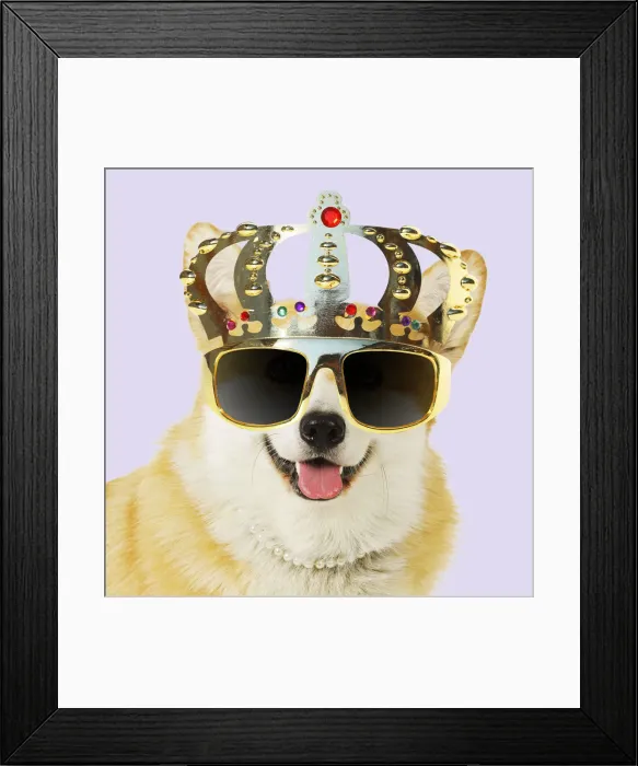Framed Print : Picture No. 12479234