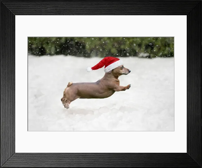 Framed Print : Picture No. 12479235