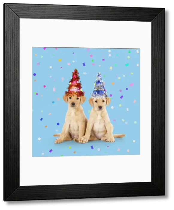 Framed Print : Picture No. 12479238