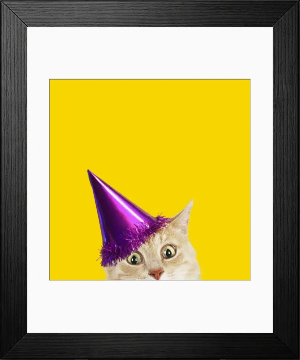 Framed Print : Picture No. 12479240