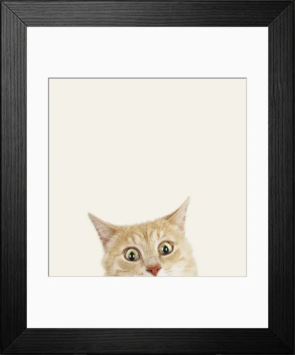 Framed Print : Picture No. 12479239