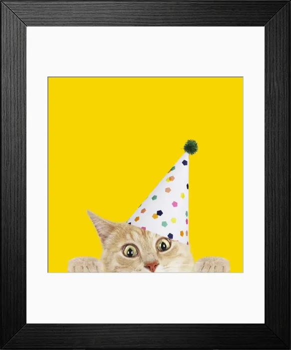 Framed Print : Picture No. 12479242 Framed Print : Picture No. 12479242