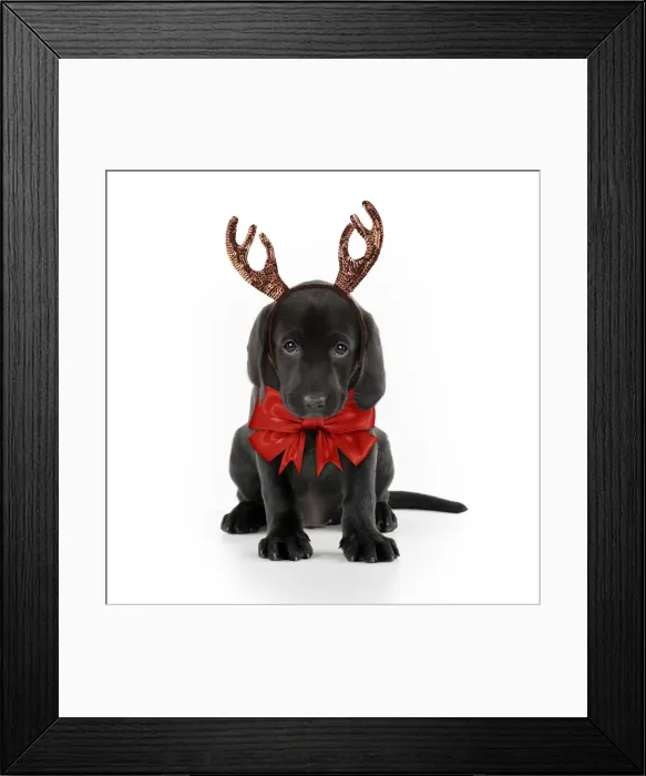 Framed Print : Picture No. 12479245 Framed Print : Picture No. 12479245