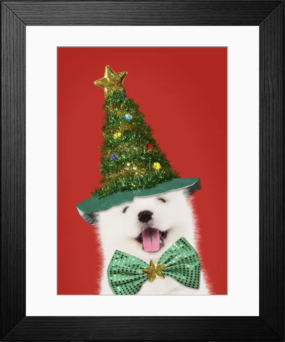 Framed Print : Picture No. 12479243 Framed Print : Picture No. 12479243