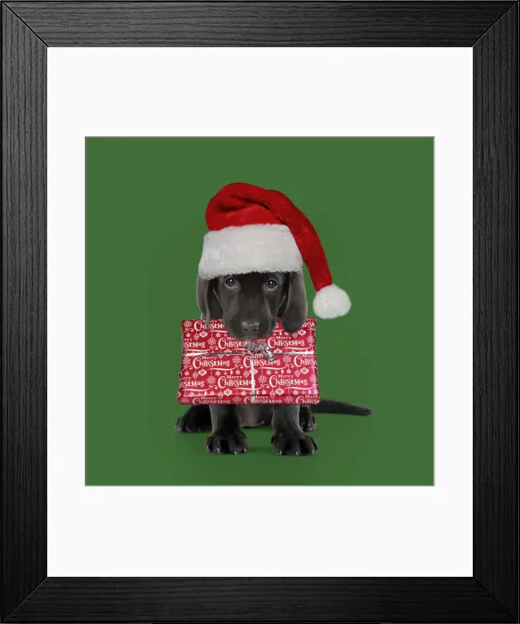 Framed Print : Picture No. 12479247 Framed Print : Picture No. 12479247