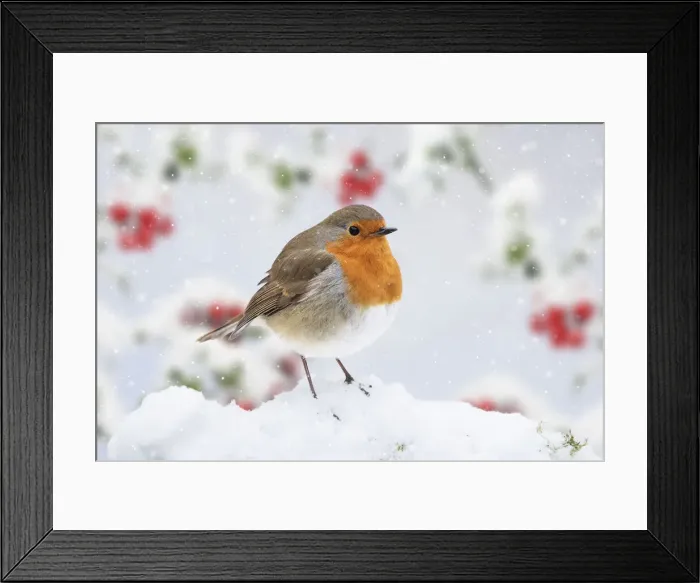 Framed Print : Picture No. 12479248 Framed Print : Picture No. 12479248