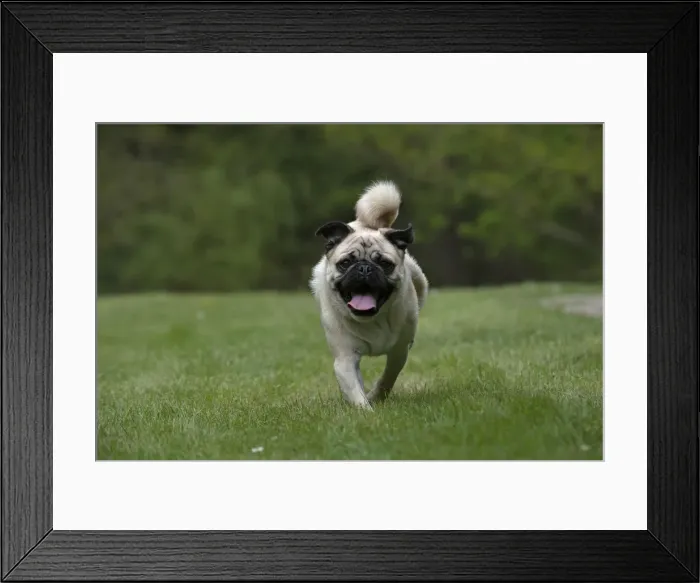 Framed Print : Picture No. 12479297 Framed Print : Picture No. 12479297