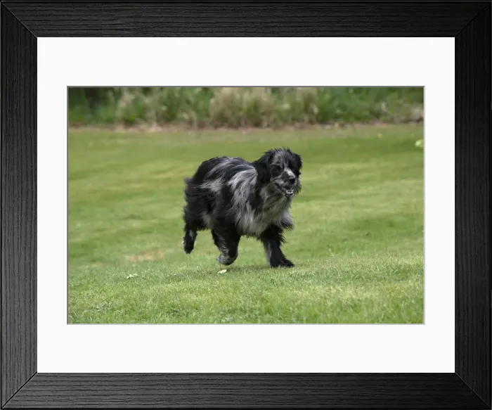 Framed Print : Picture No. 12479308 Framed Print : Picture No. 12479308