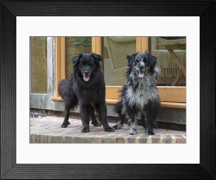 Framed Print : Picture No. 12479309 Framed Print : Picture No. 12479309