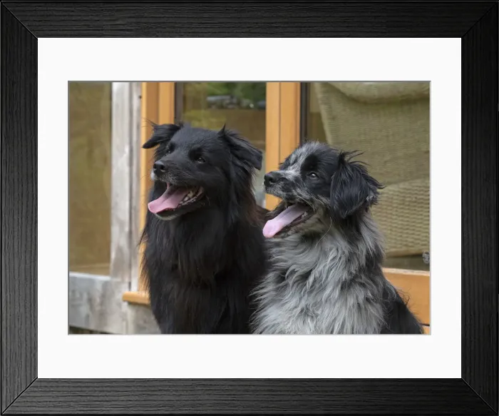 Framed Print : Picture No. 12479311 Framed Print : Picture No. 12479311