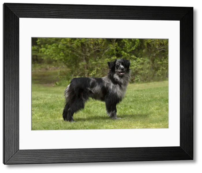 Framed Print : Picture No. 12479312 Framed Print : Picture No. 12479312
