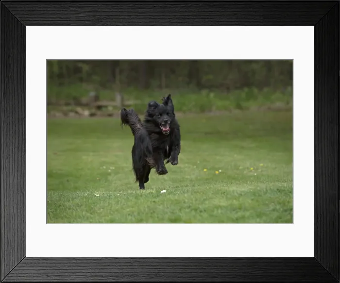 Framed Print : Picture No. 12479314 Framed Print : Picture No. 12479314