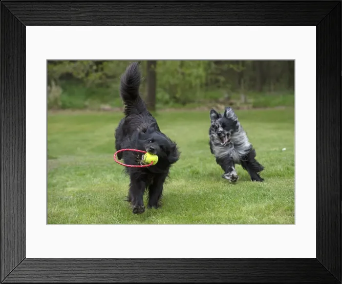 Framed Print : Picture No. 12479317 Framed Print : Picture No. 12479317