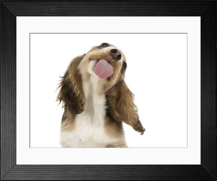 Framed Print : Picture No. 12479421 Framed Print : Picture No. 12479421