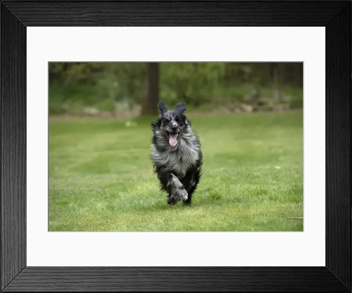 Framed Print : Picture No. 12479318 Framed Print : Picture No. 12479318