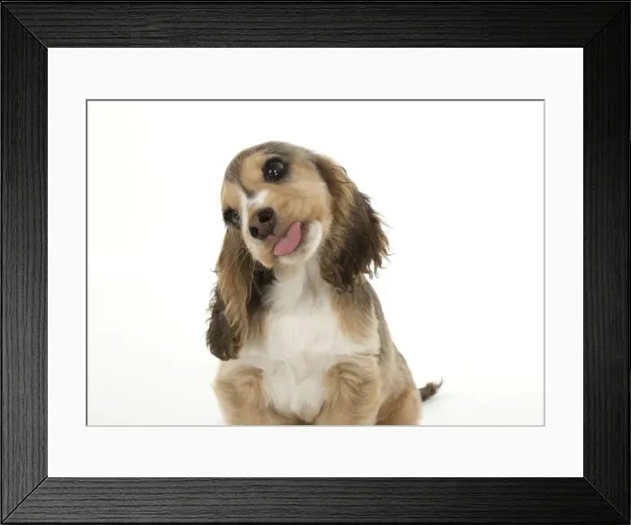Framed Print : Picture No. 12479422 Framed Print : Picture No. 12479422