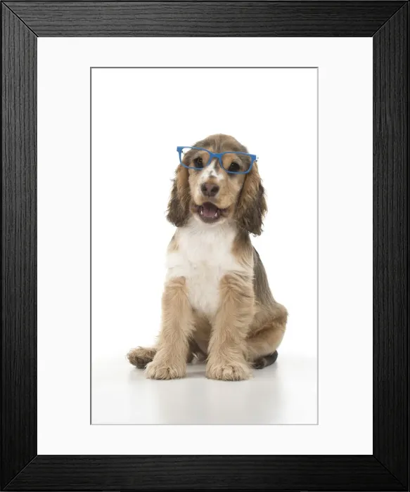 Framed Print : Picture No. 12479429 Framed Print : Picture No. 12479429