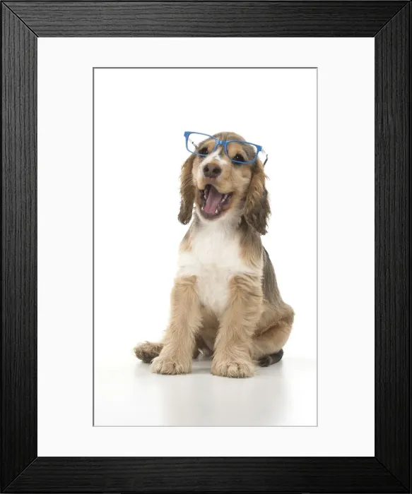 Framed Print : Picture No. 12479430 Framed Print : Picture No. 12479430