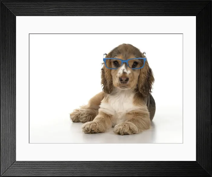 Framed Print : Picture No. 12479431 Framed Print : Picture No. 12479431