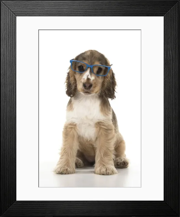Framed Print : Picture No. 12479432 Framed Print : Picture No. 12479432
