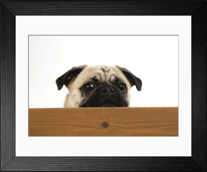 Framed Print : Picture No. 12479433 Framed Print : Picture No. 12479433