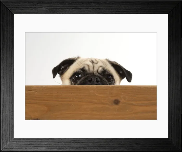 Framed Print : Picture No. 12479435 Framed Print : Picture No. 12479435