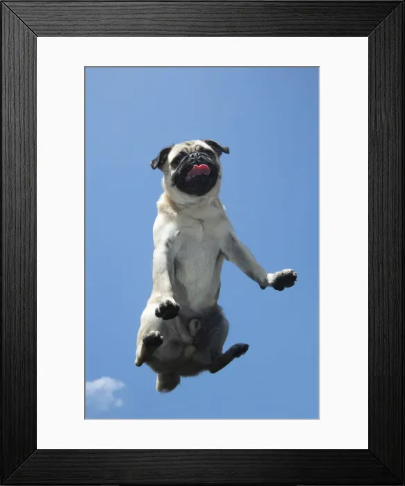 Framed Print : Picture No. 12479439 Framed Print : Picture No. 12479439