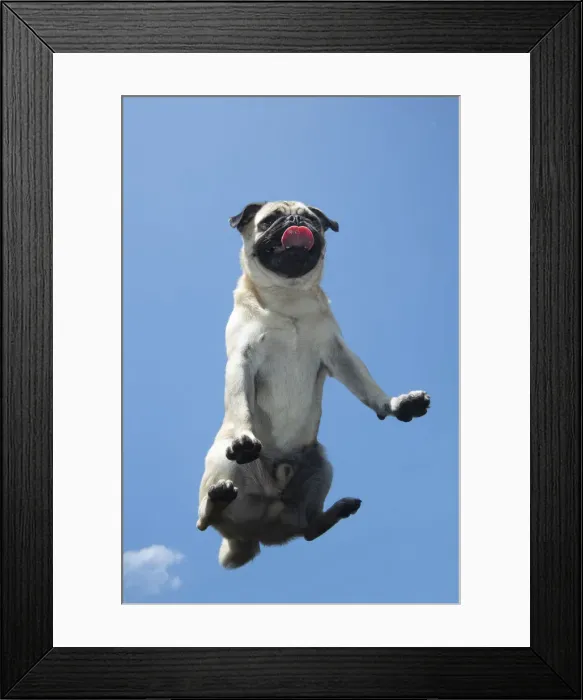 Framed Print : Picture No. 12479440 Framed Print : Picture No. 12479440
