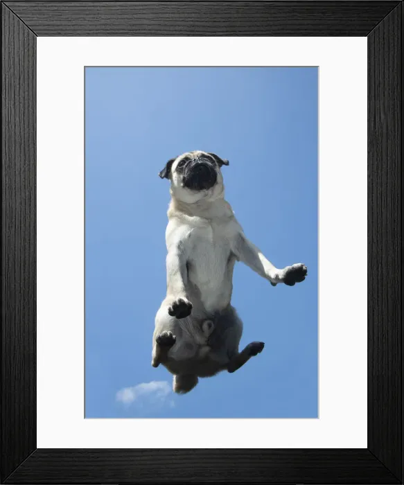 Framed Print : Picture No. 12479441 Framed Print : Picture No. 12479441