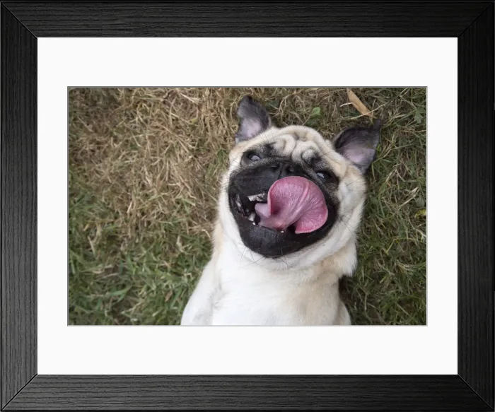 Framed Print : Picture No. 12479445 Framed Print : Picture No. 12479445