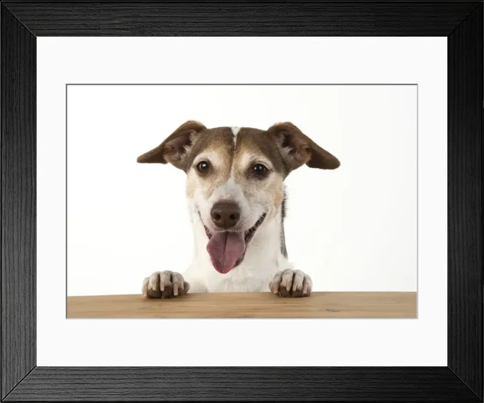 Framed Print : Picture No. 12479447 Framed Print : Picture No. 12479447