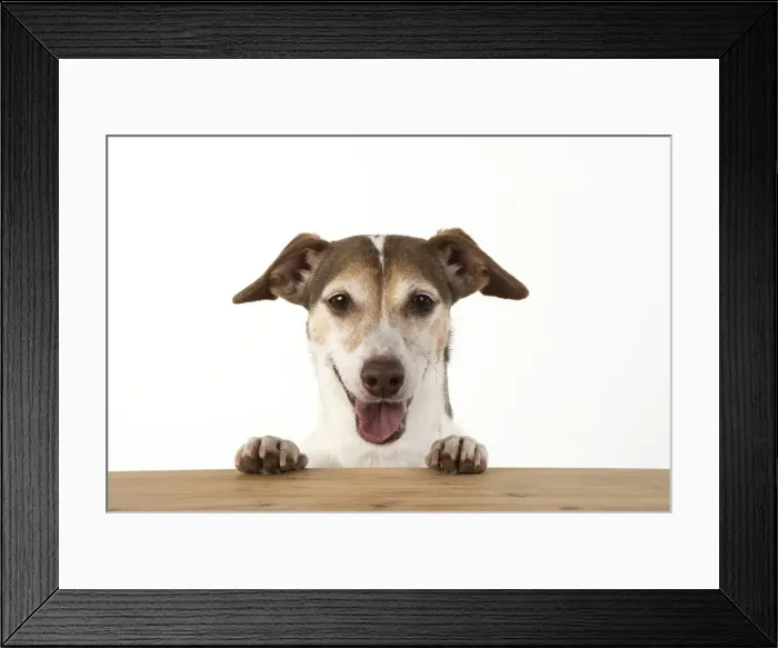 Framed Print : Picture No. 12479448 Framed Print : Picture No. 12479448