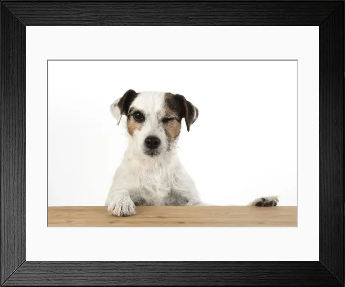 Framed Print : Picture No. 12479449 Framed Print : Picture No. 12479449