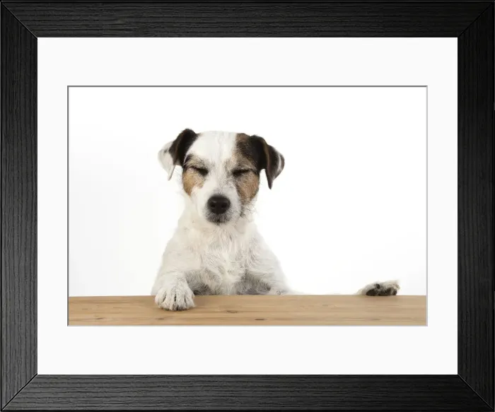 Framed Print : Picture No. 12479450 Framed Print : Picture No. 12479450