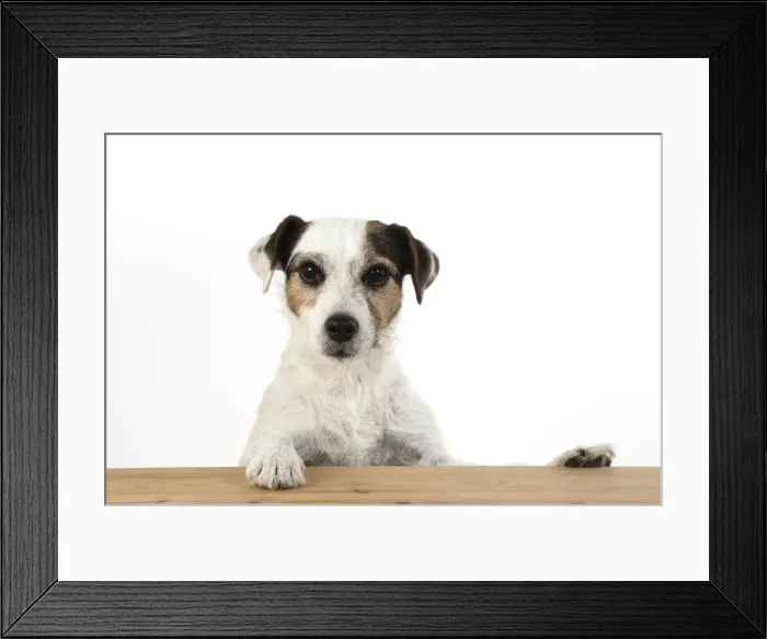 Framed Print : Picture No. 12479451 Framed Print : Picture No. 12479451