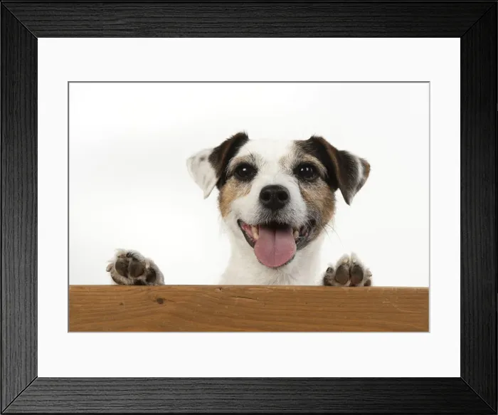 Framed Print : Picture No. 12479452 Framed Print : Picture No. 12479452