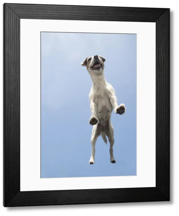 Framed Print : Picture No. 12479457