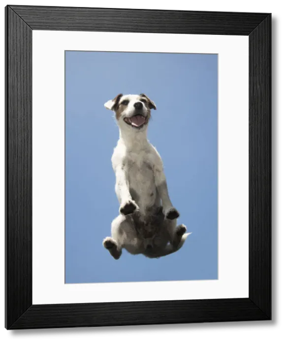 Framed Print : Picture No. 12479458 Framed Print : Picture No. 12479458