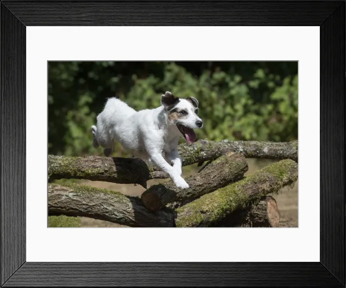 Framed Print : Picture No. 12479460 Framed Print : Picture No. 12479460