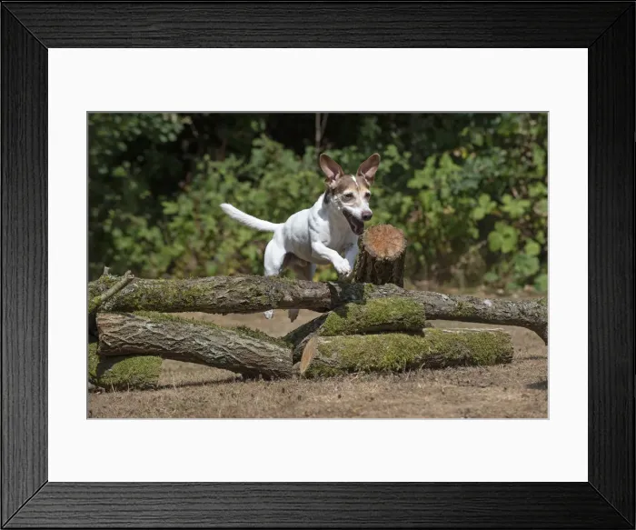 Framed Print : Picture No. 12479461 Framed Print : Picture No. 12479461