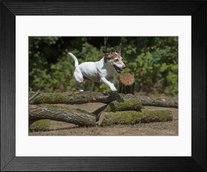 Framed Print : Picture No. 12479462 Framed Print : Picture No. 12479462