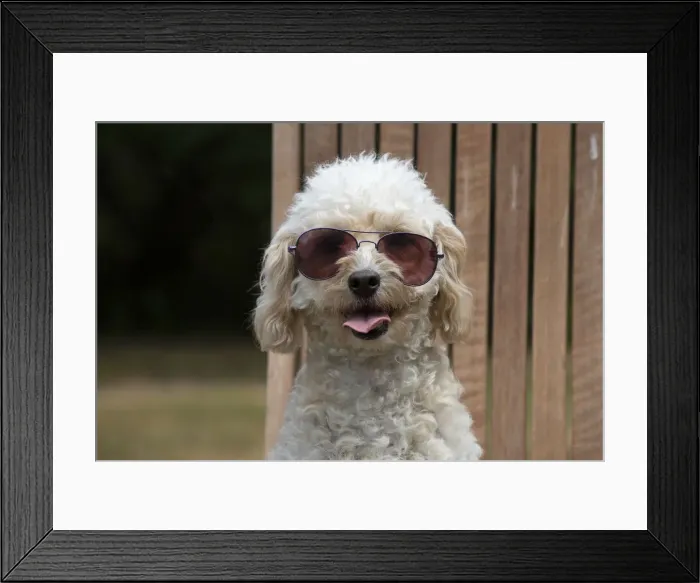 Framed Print : Picture No. 12479469 Framed Print : Picture No. 12479469