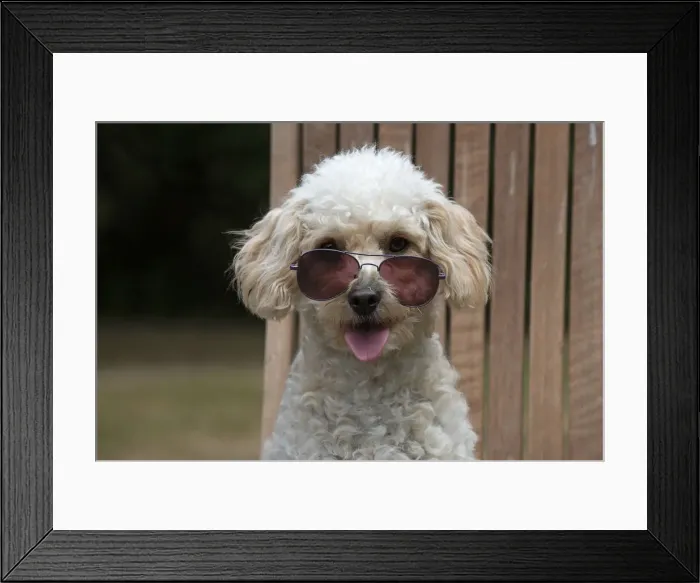 Framed Print : Picture No. 12479470 Framed Print : Picture No. 12479470